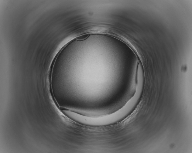 X0000099571434200806061552
