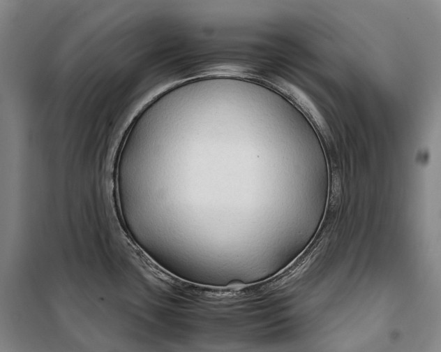 X0000099571435200806061552