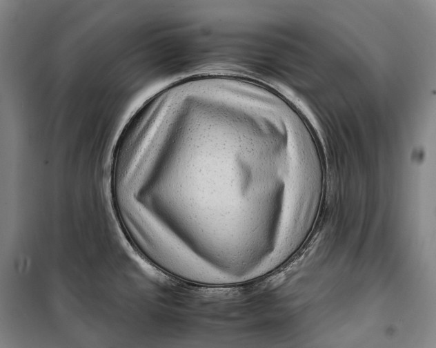 X0000099571437200806061552