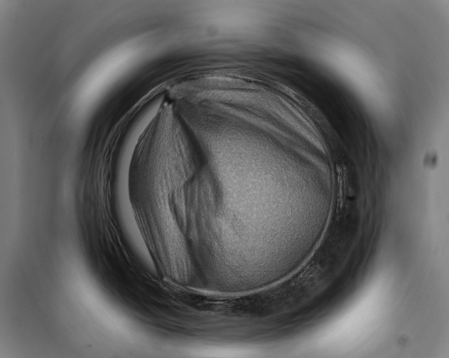 X0000099571438200806061552