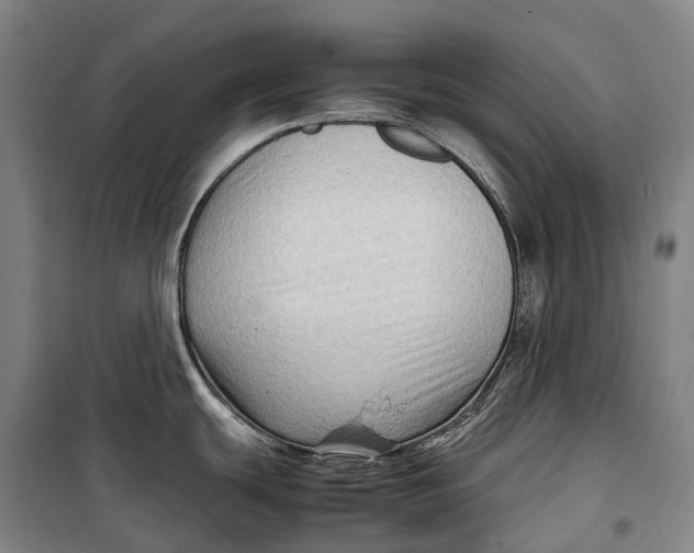 X0000099571439200806061552