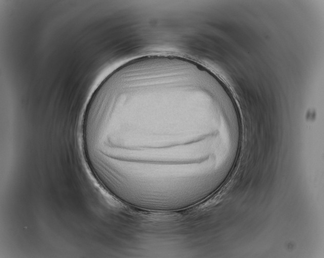 X0000099571440200806061552