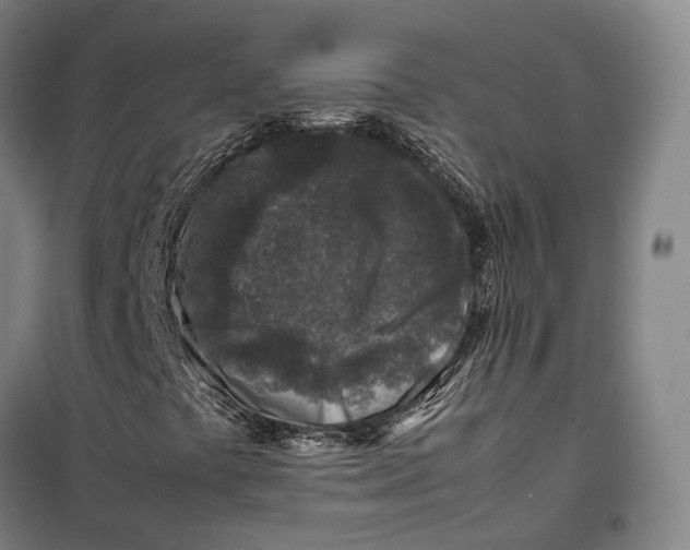 X0000099571441200806061552