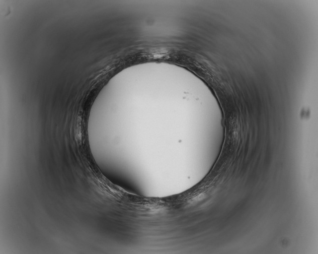 X0000099571442200806061552