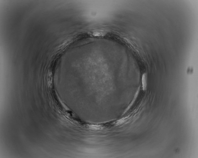X0000099571443200806061552