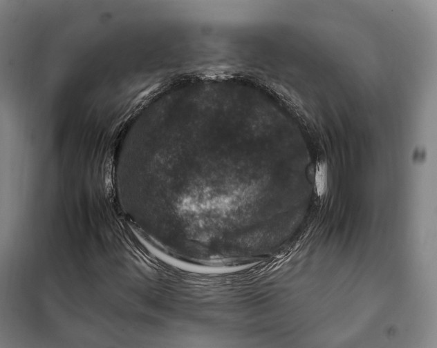 X0000099571444200806061552