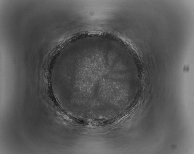 X0000099571445200806061552