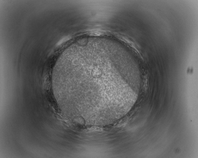 X0000099571446200806061552