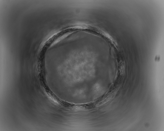 X0000099571448200806061552