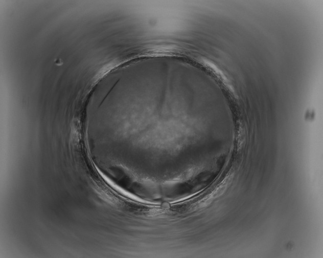 X0000099571449200806061552