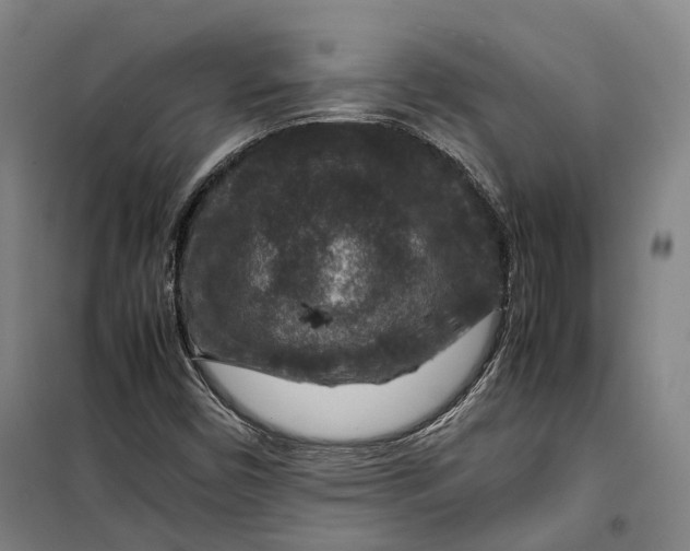 X0000099571450200806061552