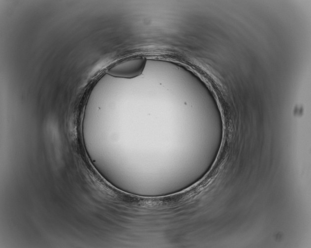 X0000099571451200806061552
