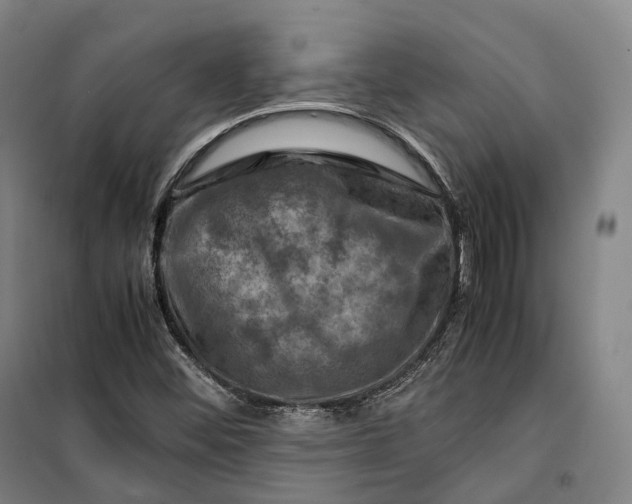 X0000099571452200806061552
