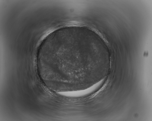 X0000099571453200806061552