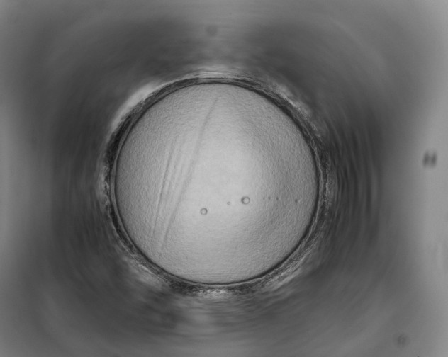 X0000099571454200806061552