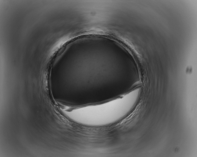 X0000099571455200806061551