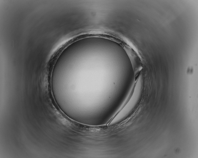X0000099571456200806061551