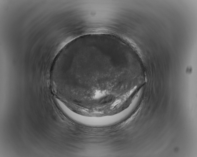 X0000099571457200806061551