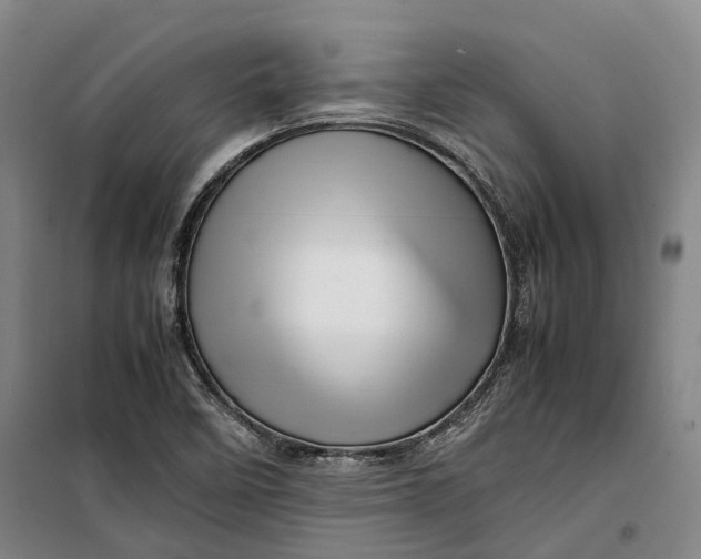 X0000099571458200806061551