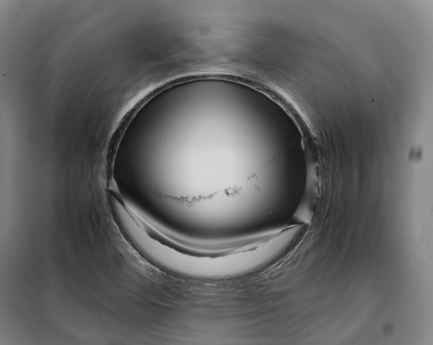 X0000099571460200806061551