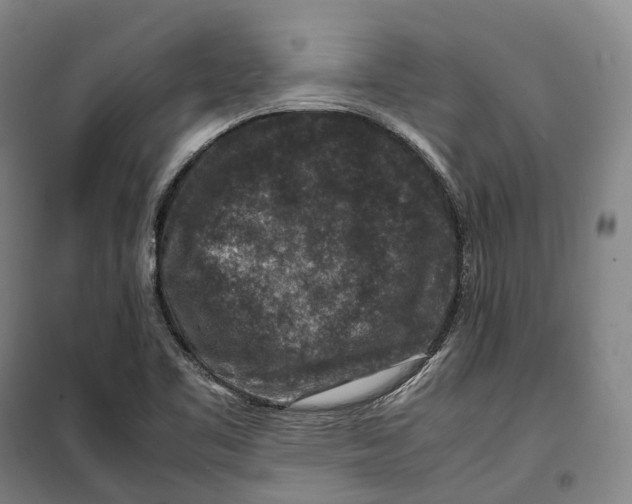 X0000099571461200806061551