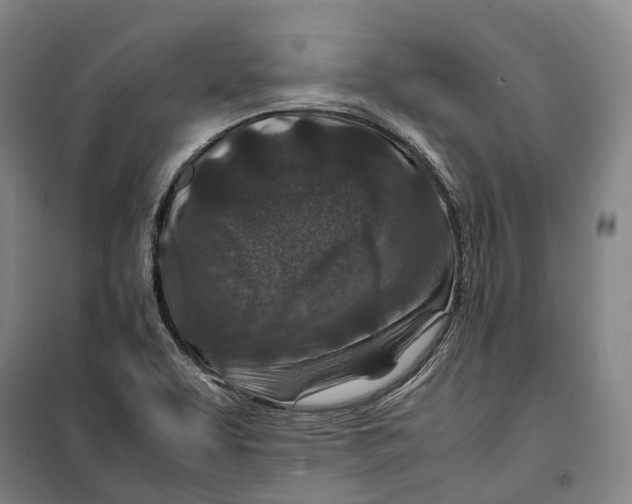 X0000099571463200806061551