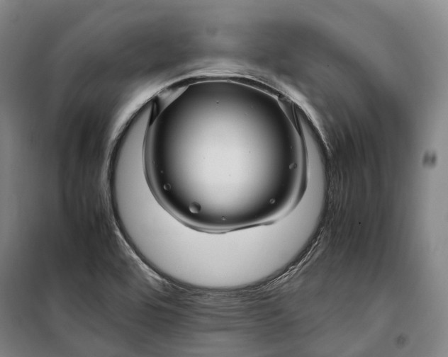 X0000099571464200806061551