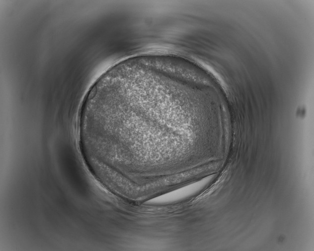 X0000099571467200806061551