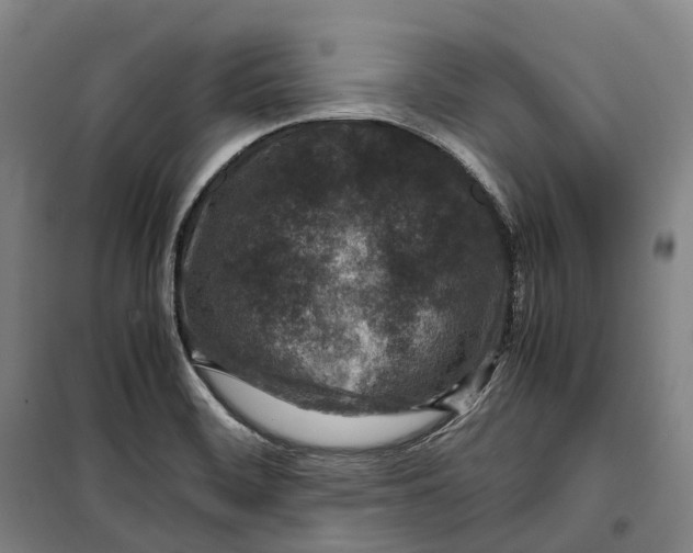 X0000099571468200806061551