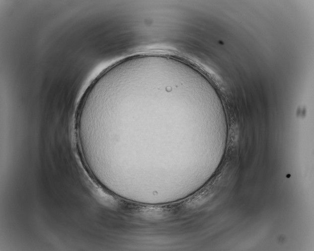 X0000099571470200806061551