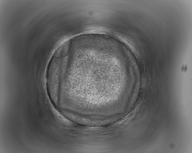 X0000099571471200806061551