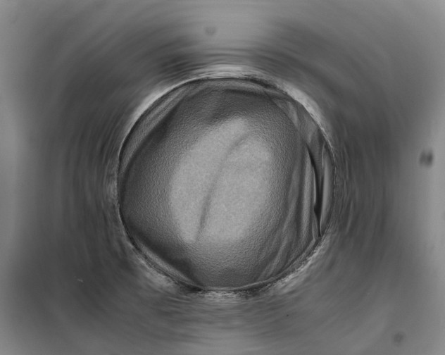 X0000099571473200806061551