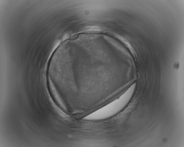 X0000099571475200806061551