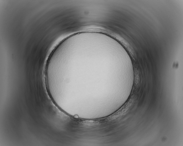 X0000099571478200806061551