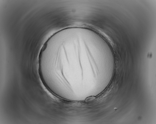 X0000099571479200806061551