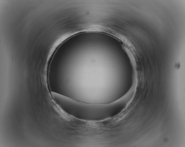 X0000099571480200806061551