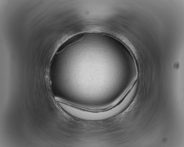 X0000099571481200806061551