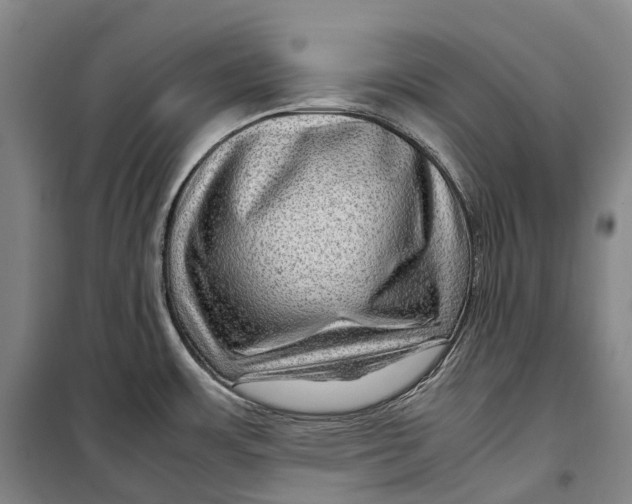 X0000099571483200806061551