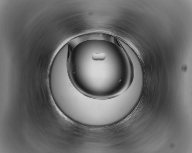 X0000099571484200806061551
