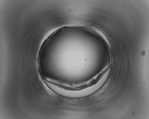 X0000099571485200806061551