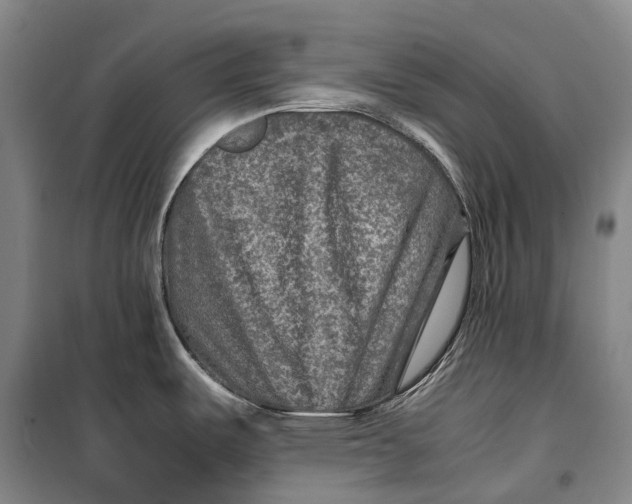 X0000099571487200806061551