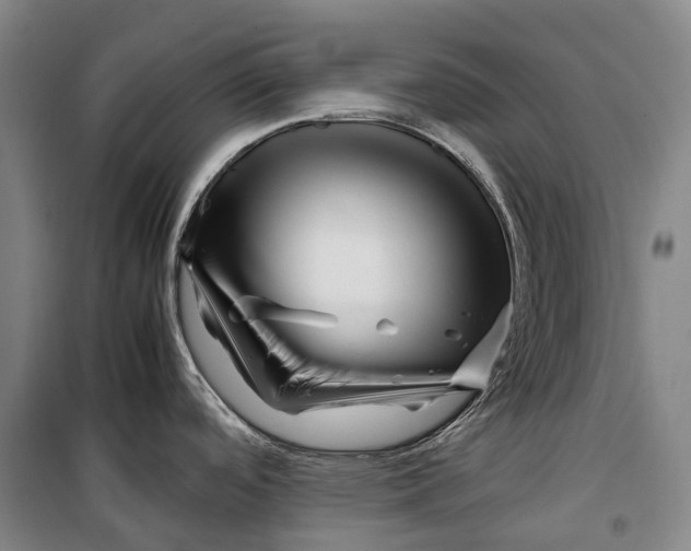 X0000099571488200806061551