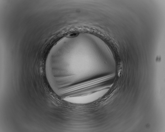 X0000099571490200806061550