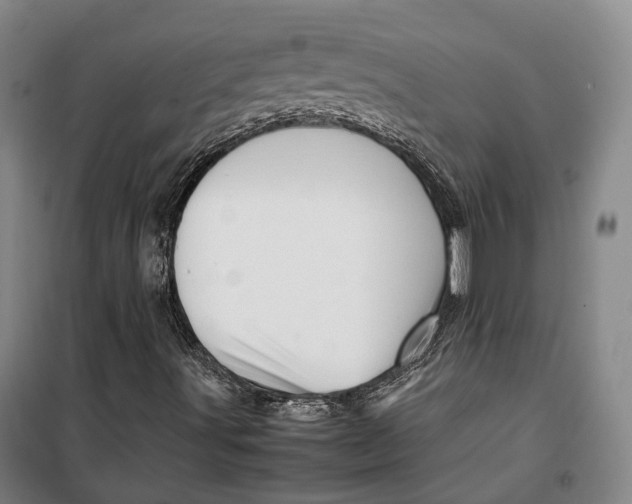 X0000099571491200806061550