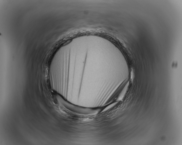X0000099571492200806061550