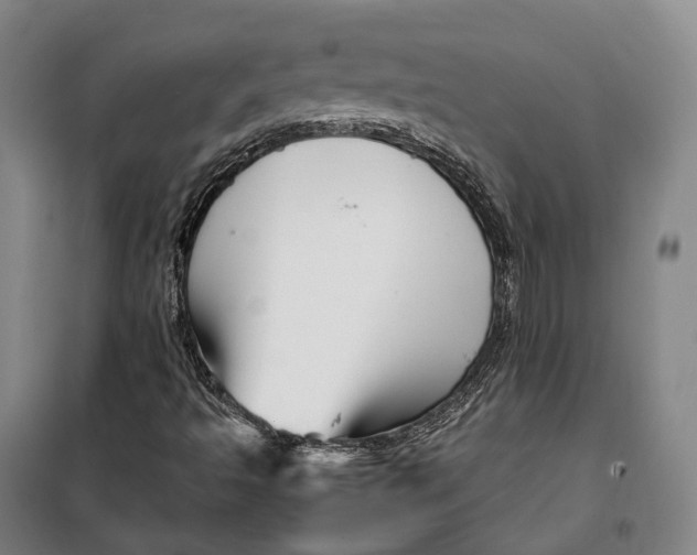 X0000099571493200806061550
