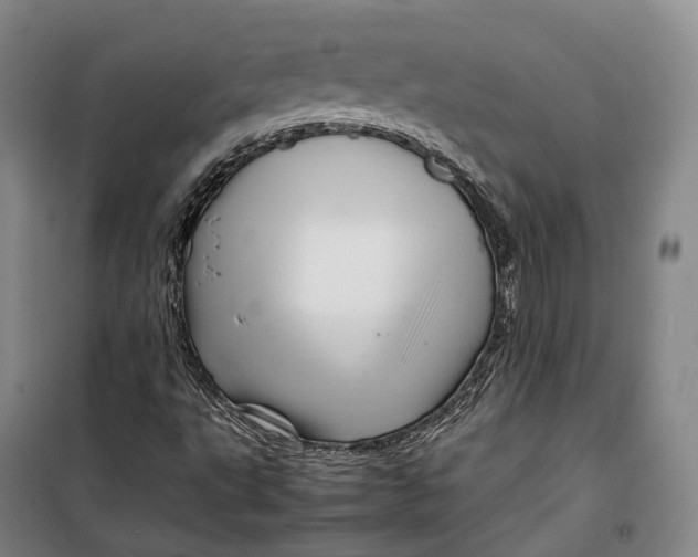 X0000099571495200806061550