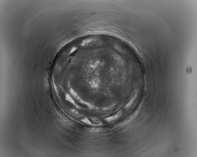 X0000099571497200806061550