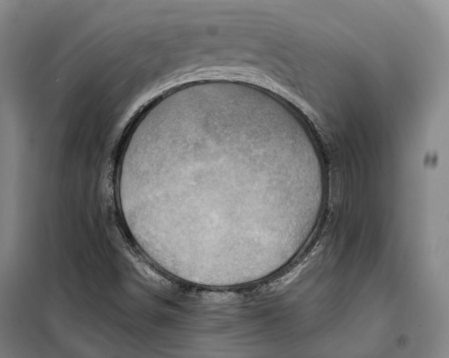 X0000099571498200806061550