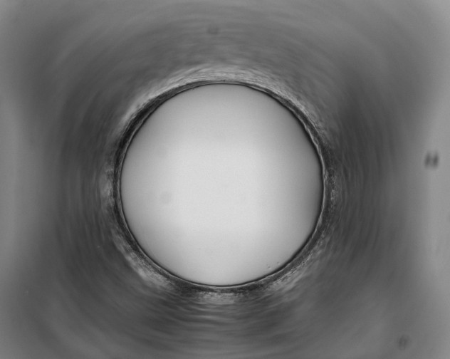 X0000099571499200806061550